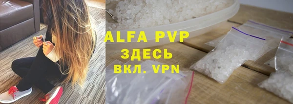 a pvp Бородино