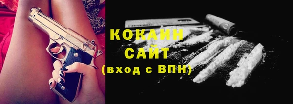 a pvp Бородино
