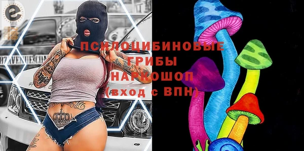 a pvp Бородино