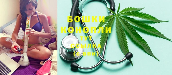 a pvp Бородино